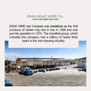 صفحه رسمی بیدوایر ایران